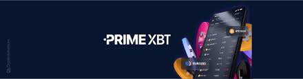 Comprehensive Insights into Trading Platform PrimeXBT
